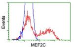 MEF2C Antibody in Flow Cytometry (Flow)