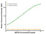 MEF2C Antibody in Luminex (LUM)