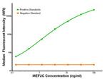 MEF2C Antibody in Luminex (LUM)