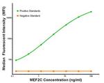 MEF2C Antibody in Luminex (LUM)