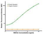 MEF2C Antibody in Luminex (LUM)