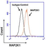 MEK1 Antibody in Flow Cytometry (Flow)