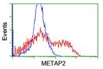 METAP2 Antibody in Flow Cytometry (Flow)