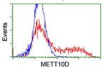 METT10D Antibody in Flow Cytometry (Flow)