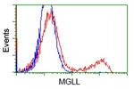 MGLL Antibody in Flow Cytometry (Flow)