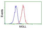 MGLL Antibody in Flow Cytometry (Flow)