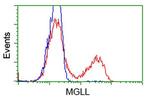 MGLL Antibody in Flow Cytometry (Flow)