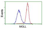 MGLL Antibody in Flow Cytometry (Flow)