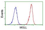 MGLL Antibody in Flow Cytometry (Flow)