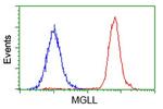 MGLL Antibody in Flow Cytometry (Flow)