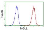 MGLL Antibody in Flow Cytometry (Flow)