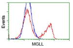 MGLL Antibody in Flow Cytometry (Flow)