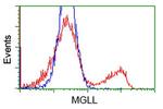 MGLL Antibody in Flow Cytometry (Flow)