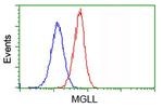 MGLL Antibody in Flow Cytometry (Flow)