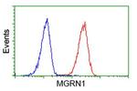 MGRN1 Antibody in Flow Cytometry (Flow)