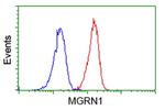 MGRN1 Antibody in Flow Cytometry (Flow)