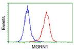 MGRN1 Antibody in Flow Cytometry (Flow)