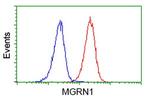 MGRN1 Antibody in Flow Cytometry (Flow)