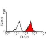 HLA-A2 Antibody in Flow Cytometry (Flow)