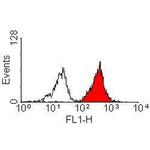 HLA-A2 Antibody in Flow Cytometry (Flow)