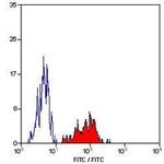 HLA-A2 Antibody in Flow Cytometry (Flow)