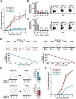 CD4 Antibody in Flow Cytometry (Flow)