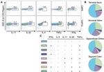 CD4 Antibody in Flow Cytometry (Flow)