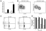 CD8 Antibody in Flow Cytometry (Flow)