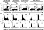 CD8 Antibody in Flow Cytometry (Flow)