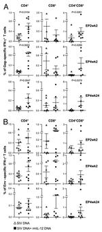 CD8 Antibody in Flow Cytometry (Flow)