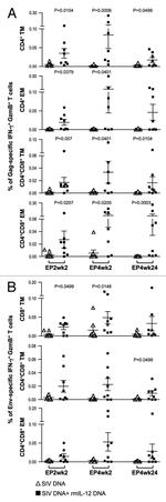 CD8 Antibody in Flow Cytometry (Flow)