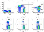 CD8 Antibody in Flow Cytometry (Flow)