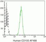 CD105 Antibody in Flow Cytometry (Flow)