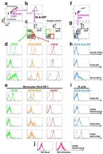 CD19 Antibody in Flow Cytometry (Flow)