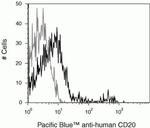 CD20 Antibody in Flow Cytometry (Flow)