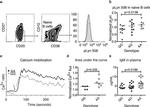 CD27 Antibody in Flow Cytometry (Flow)