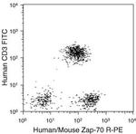 Zap-70 Antibody in Flow Cytometry (Flow)