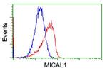 MICAL1 Antibody in Flow Cytometry (Flow)