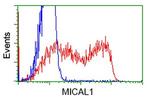 MICAL1 Antibody in Flow Cytometry (Flow)