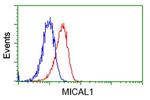 MICAL1 Antibody in Flow Cytometry (Flow)