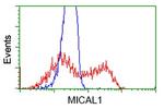 MICAL1 Antibody in Flow Cytometry (Flow)