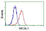 MICAL1 Antibody in Flow Cytometry (Flow)