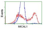 MICAL1 Antibody in Flow Cytometry (Flow)