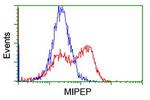 MIPEP Antibody in Flow Cytometry (Flow)