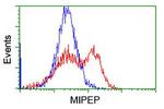 MIPEP Antibody in Flow Cytometry (Flow)