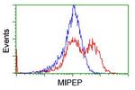 MIPEP Antibody in Flow Cytometry (Flow)