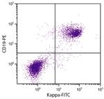 Mouse Kappa Light Chain Secondary Antibody in Flow Cytometry (Flow)