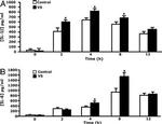 IL-1 beta Antibody in ELISA (ELISA)