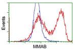 MMAB Antibody in Flow Cytometry (Flow)