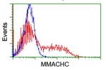 MMACHC Antibody in Flow Cytometry (Flow)